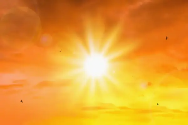 Image for article titled Stay Informed June 2025